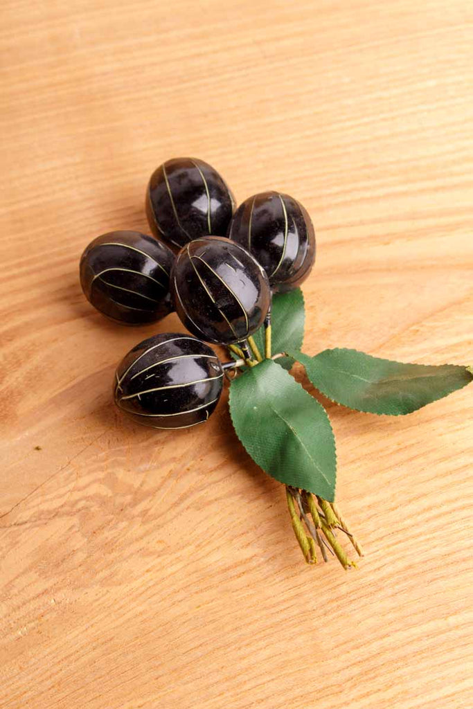 große Ansteckblume Olivenzweig