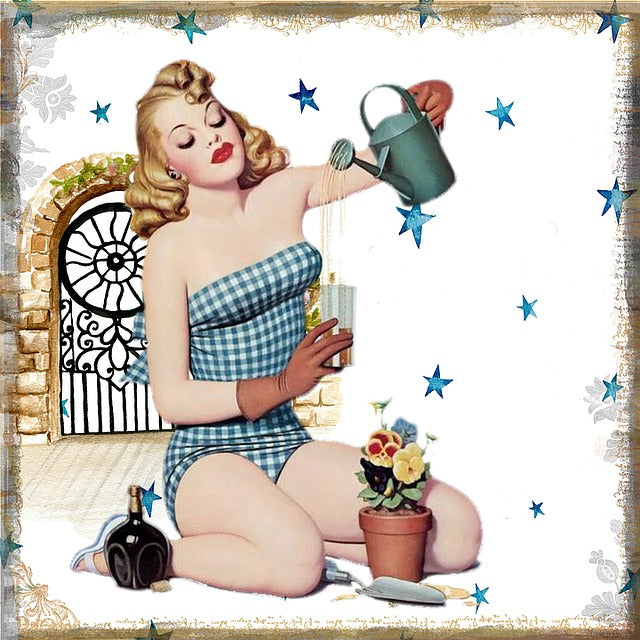 Die Geschichte der Pin-ups