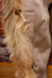 70er Jahre Hippie Fellmantel 60er 70er beige Boho Disco Frau Hippie real-boho S 36-38 Special XS 32-34 vintageberlin.de