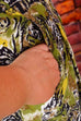 Culotte Hosenrock grün animalprint