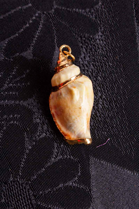 Anhänger Muschel gold Perlmutt