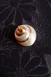 Anhänger Schnecke gold Perlmutt