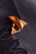 goldene Brosche Delfin + Strass