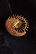 Anstecker gold Nautilus