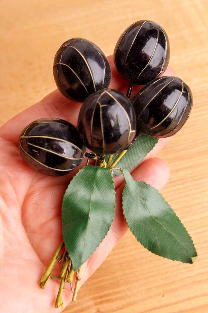 große Ansteckblume Olivenzweig