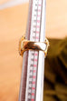 POMPÖÖS Ring gold Strass