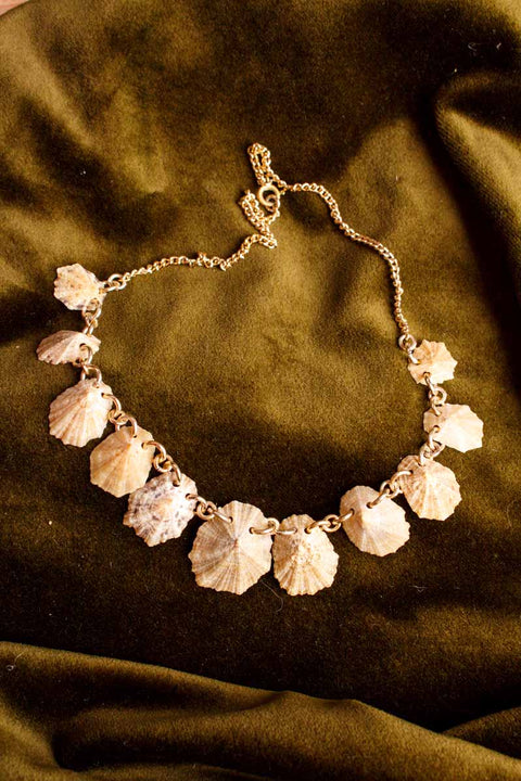 Muschelkette gold