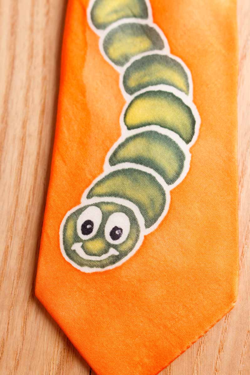 Damen Krawatte orange Seide Raupe