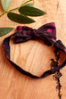 kleine Fliege pink Punkte