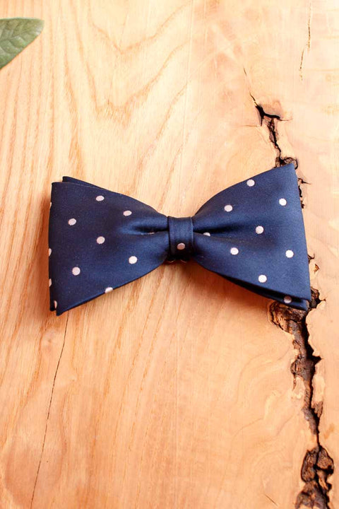 Vintage Fliege blau Punkte