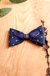 Vintage Fliege blau Punkte