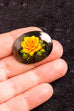 Vintage Brosche oval schwarz Rose