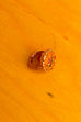 60s Ring orange gold Emaille