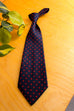 70er Krawatte blau rot Punkte