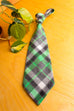 Krawatte megabreit grün kariert
