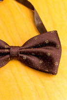 Vintage Fliege braun Punkte