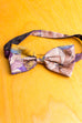 Vintage Fliege pastell bunt